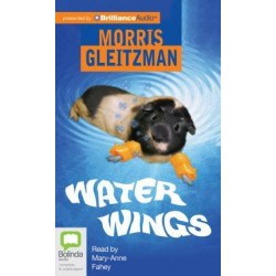 Water Wings