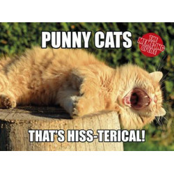 The Meme-ing of Life: Punny Cats: That's Hiss-terical