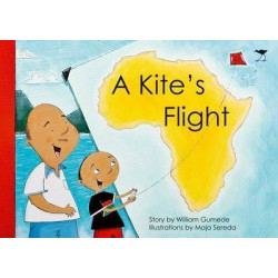 Kite's flight