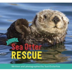 Sea Otter Rescue: Wildlife Rescue