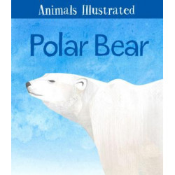 Animals Illustrated: Polar Bear (English)