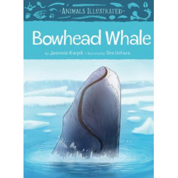 Animals Illustrated: Bowhead Whale (English)