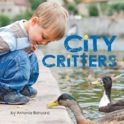 City Critters