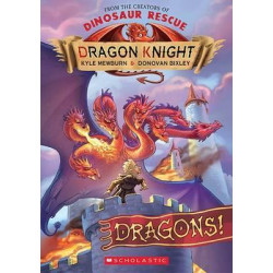 Dragon Knight #4 Dragons!