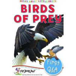 First Q&A Birds of Prey