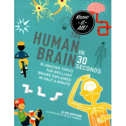The Human Brain in 30 Seconds