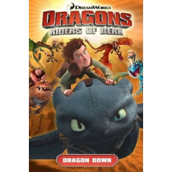 DreamWorks' Dragons: Dragon Down (How to Train Your Dragon TV) Volume 1