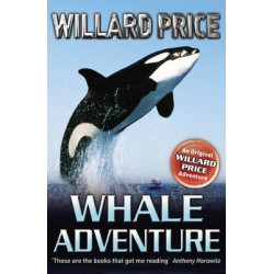 Whale Adventure