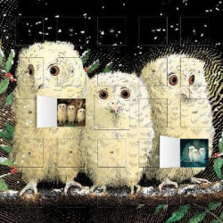 Owl Babies advent calendar (with stickers)