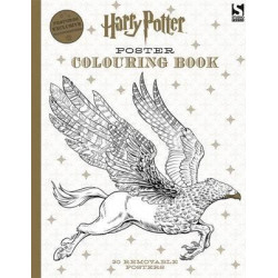 Harry Potter Poster Colouring Book