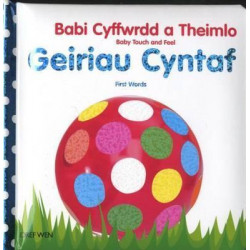 Babi Cyffwrdd a Theimlo/Baby Touch and Feel: Geiriau Cyntaf/First Words