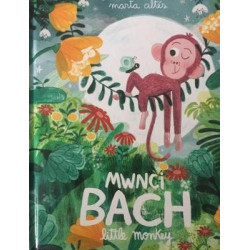 Mwnci Bach / Little Monkey