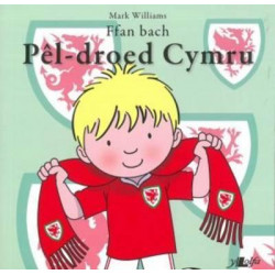 Ffan Bach Pel-Droed Cymru