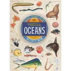 Collection of Curiosities: Oceans