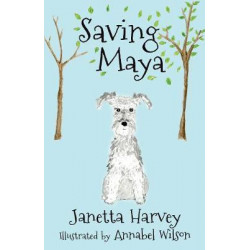 Saving Maya