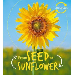 Lifecycles: Seed to Sunflower