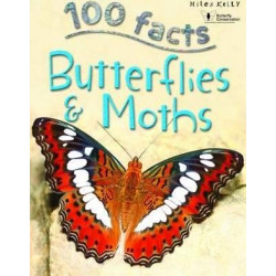 100 Facts Butterflies & Moths