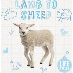Lamb to Sheep
