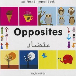 My First Bilingual Book - Opposites: English-spanish