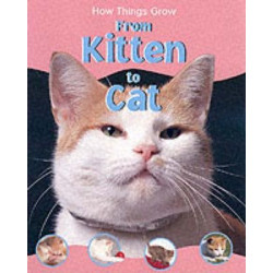 From Kitten to Cat