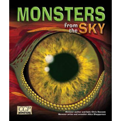 KS2 Monsters from the Sky Reading Book
