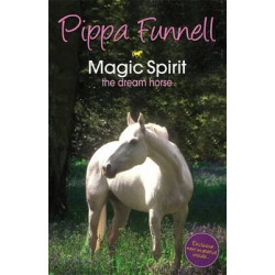 Tilly's Pony Tails: Magic Spirit