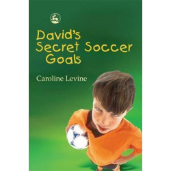 David's Secret Soccer Goals