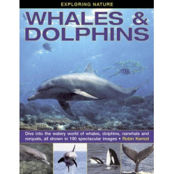 Exploring Nature: Whales & Dolphins