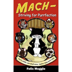 Mach - Striving for Purrfection