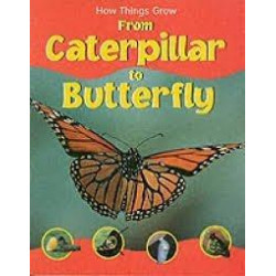 How Things Grow from Caterpillar to Butterfly