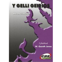 Gelli Geirios, Y