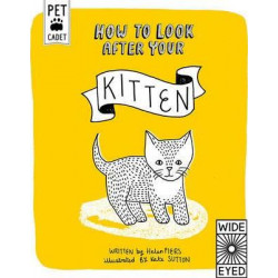 How to Look After Your Kitten