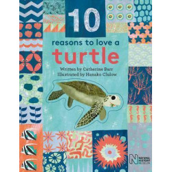 10 Reasons to Love a... Turtle