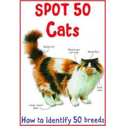 Spot 50 Cats