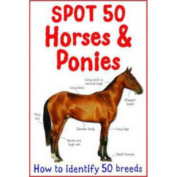 Spot 50 Horses and Ponies