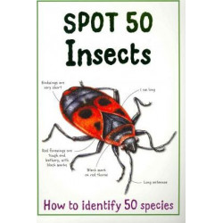 Spot 50 - Insects