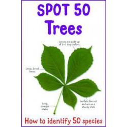 Spot 50 - Trees