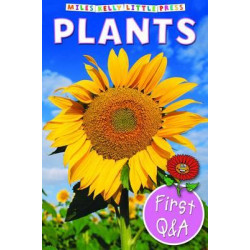First Q & A - Plants