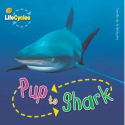 Lifecycles: Pup to Shark