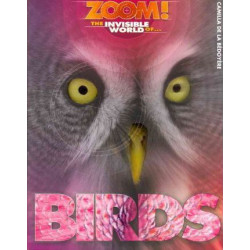 Zoom! the Invisible World of Birds