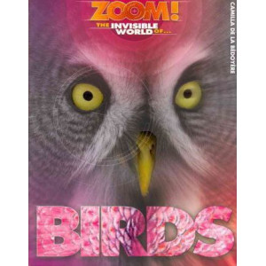 Zoom! the Invisible World of Birds