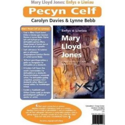 Pecyn Celf Mary Lloyd Jones - Enfys o Liwiau