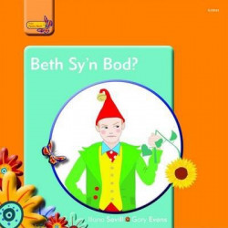 Pobl Pentre Bach: Beth Sy'n Bod?
