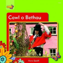 Pobl Pentre Bach: Cawl o Bethau