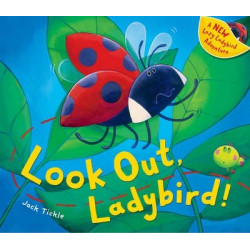 Look Out, Ladybird!