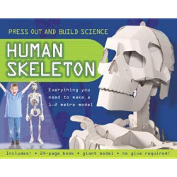 Press Out and Build Human Skeleton