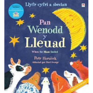Llyfr Cyfri a Sbecian: Pan Wenodd y Lleuad / When the Moon Smiled