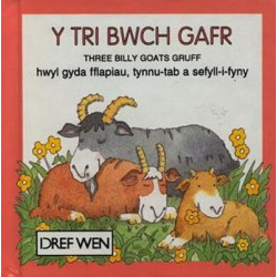 Cyfres Hoff Straeon:Tri Bwch Gafr, Y
