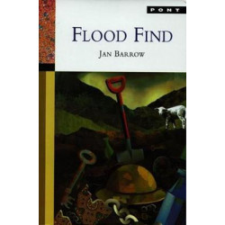 Flood Find