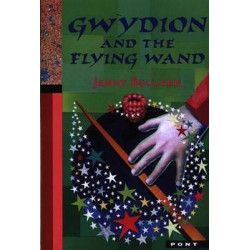 Gwydion and the Flying Wand